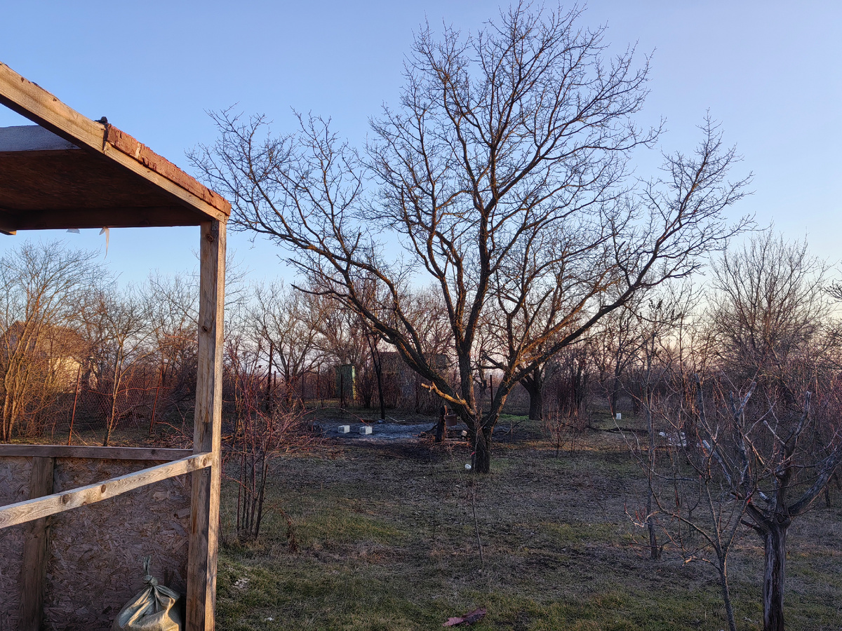 Вот так сейчас выглядит участок. Если не знать, куда смотреть, то и не скажешь, что выпилено что-то. Но я-то знаю, как было. И вижу, что стало лучше.