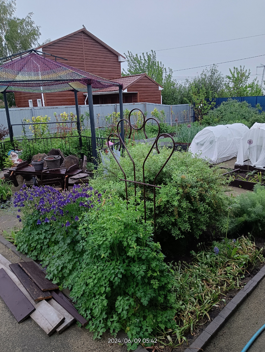 После дождя .