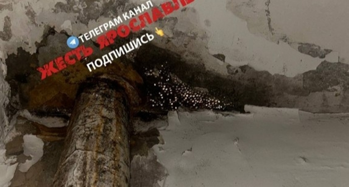    Жесть Ярославль