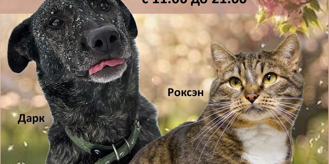 ⚡️АКЦИЯ В ГЛОБУСЕ⚡️