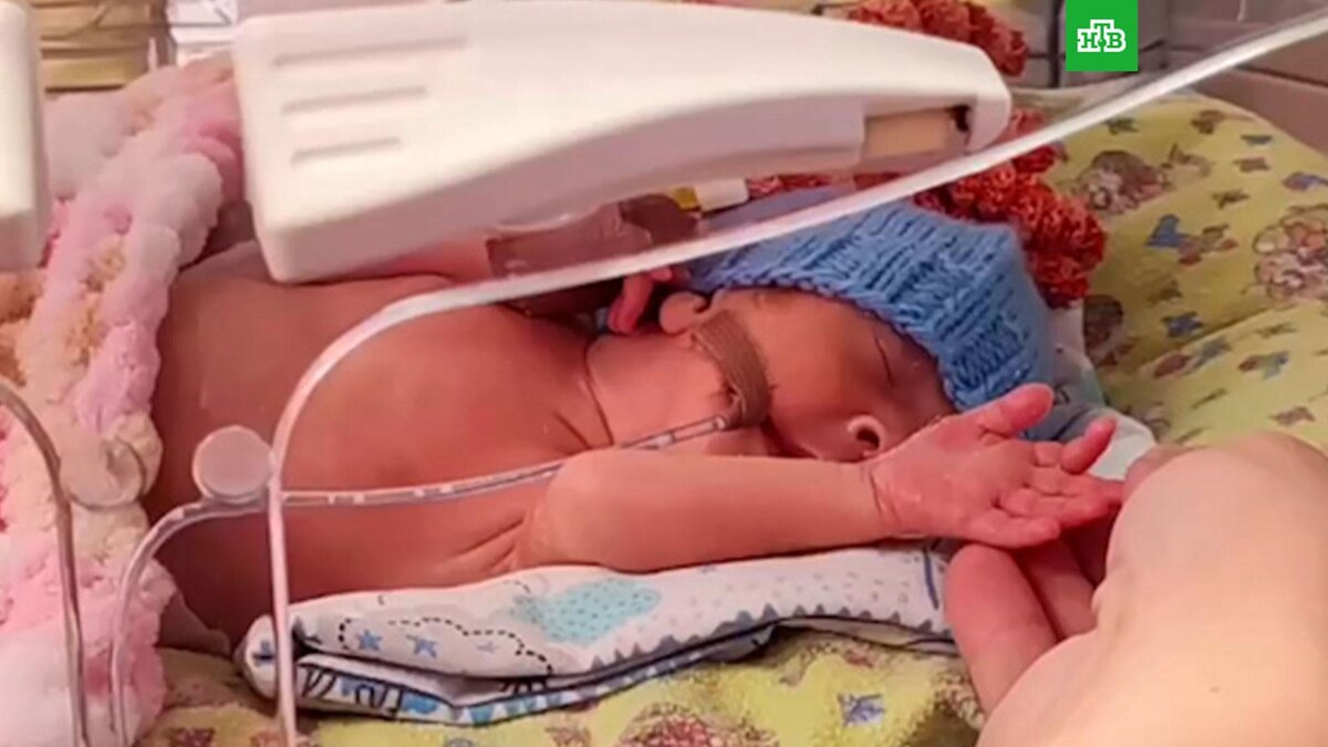    Фото: medicinakbr / t.me