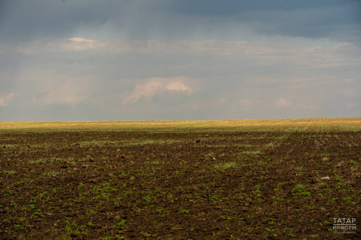 Фото: © Салават Камалетдинов / «Татар-информ»