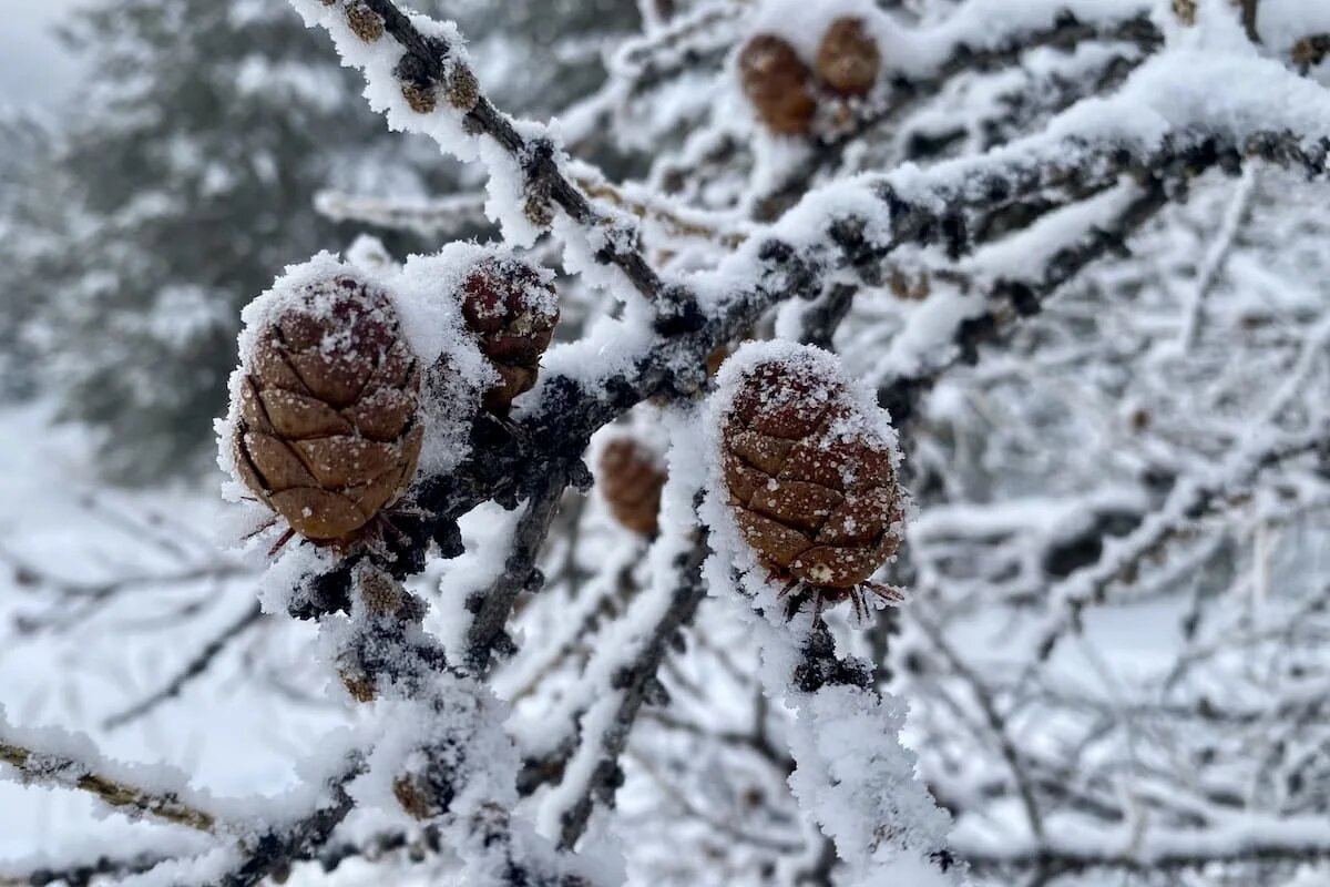 Фото: UfacityNews.ru