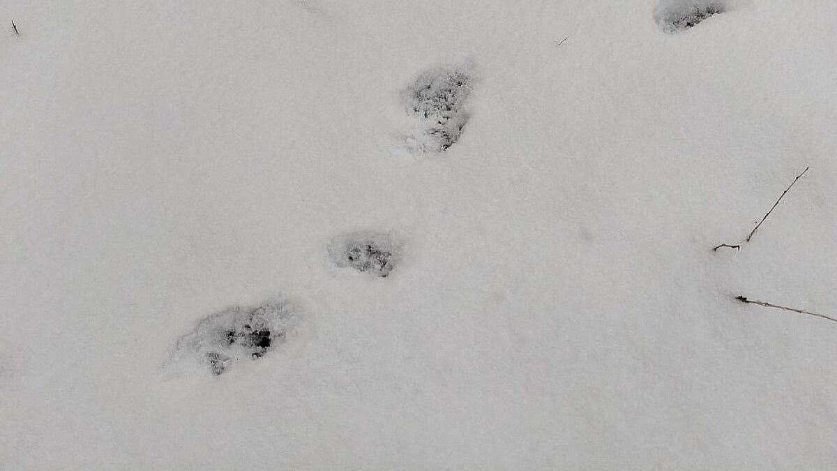    Фото: телеканал «Краснодар»