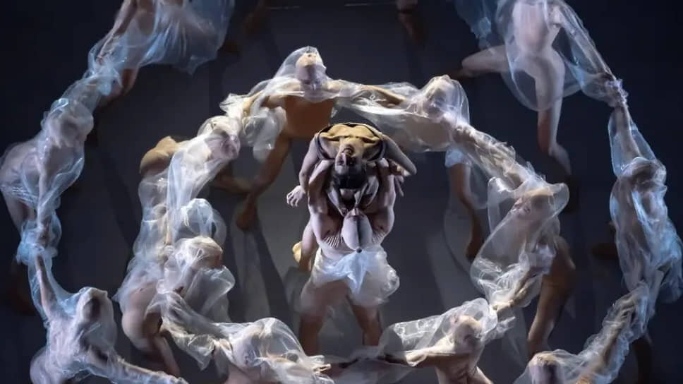 В спектакле Йохана Ингера «лебеди» придерживаются круговой поруки, как и в каноническом «Лебедином озере» .📷Фото: Dresdner Staatsoper