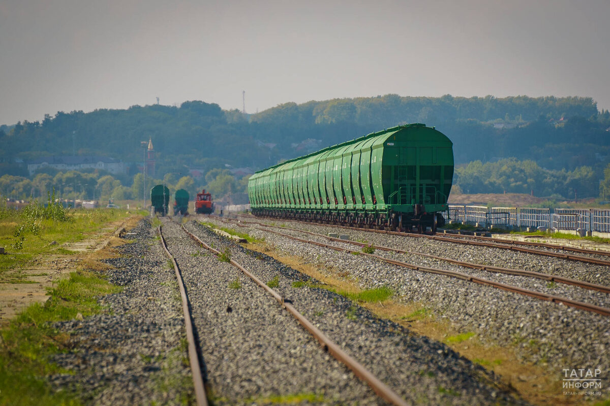 Фото: © Владимир Васильев / «Татар-информ»