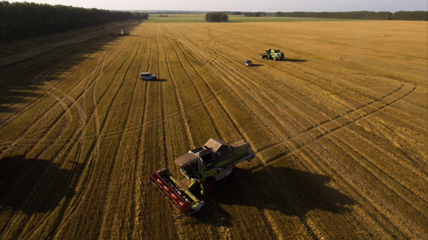   Фото: © РИА Новости/Александр Кряжев; 5-tv.ru