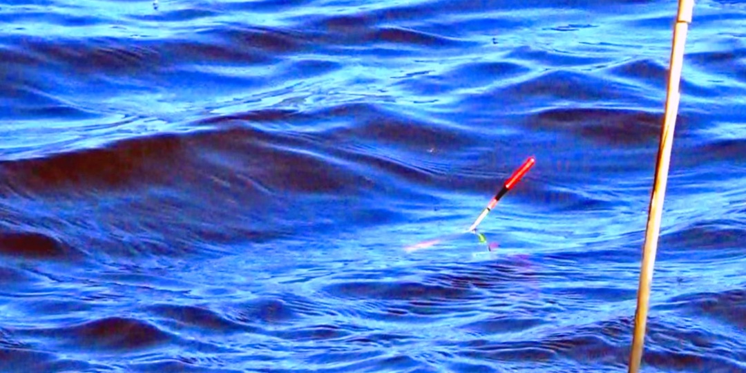 Какой ветер дает лучший клев: разбираем направления и силу - личный опыт за годы рыбалки