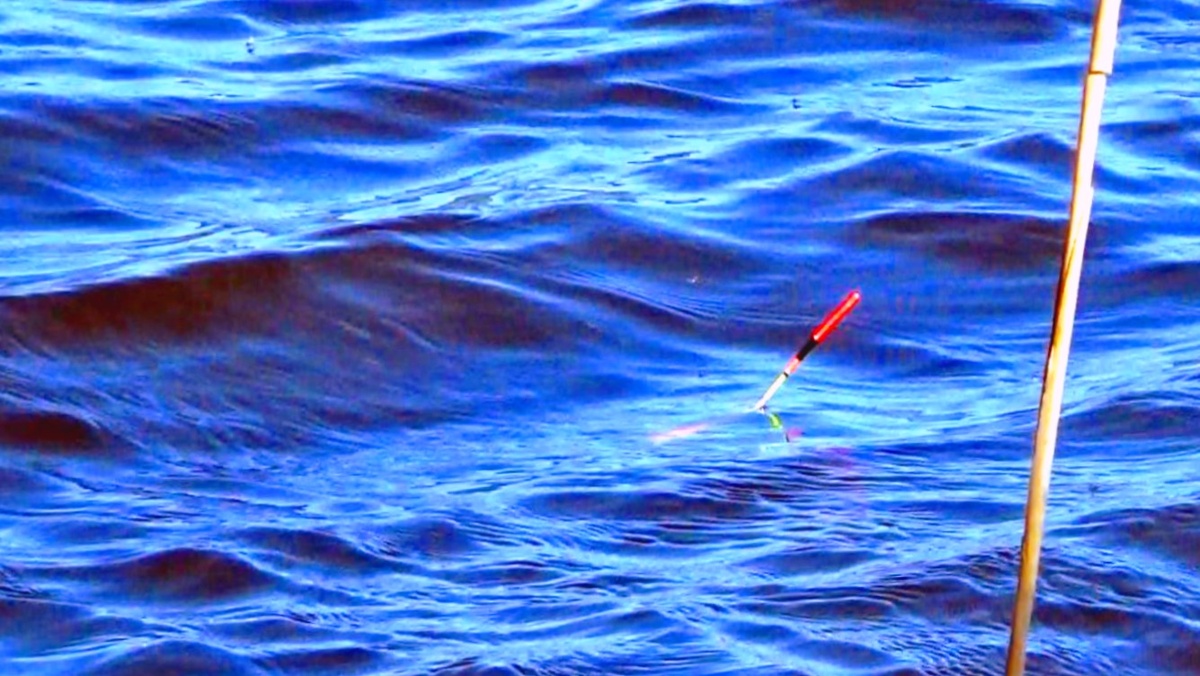 Рыбалка в ветер