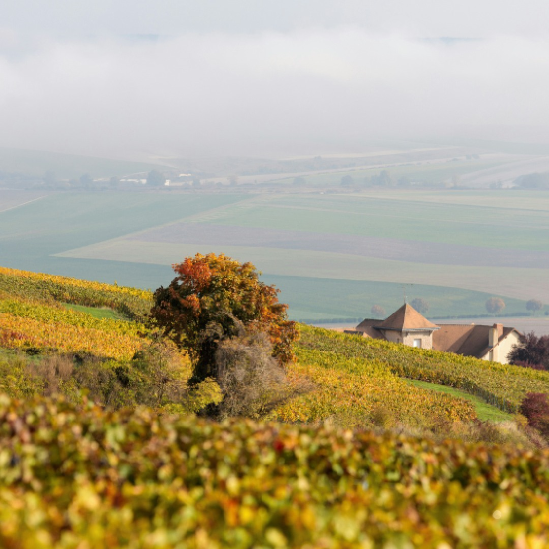 Тихие места в России