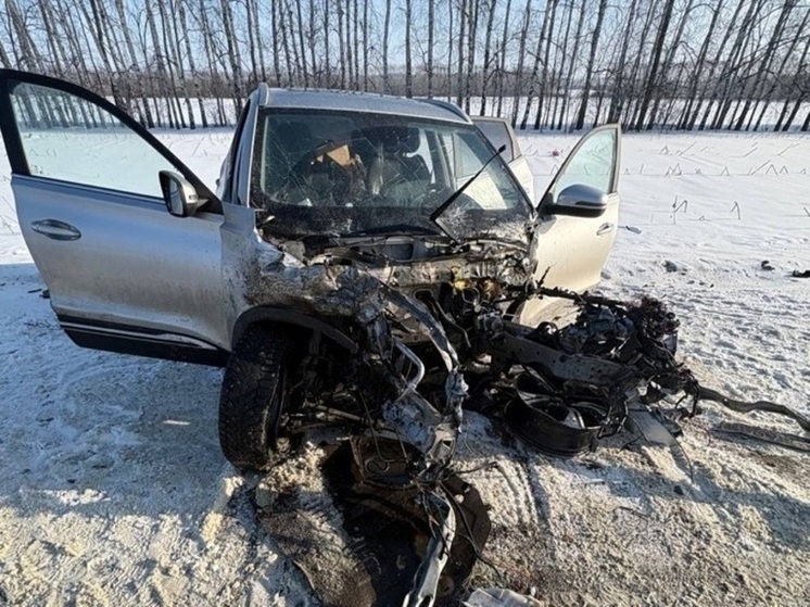     Источник: FreePic