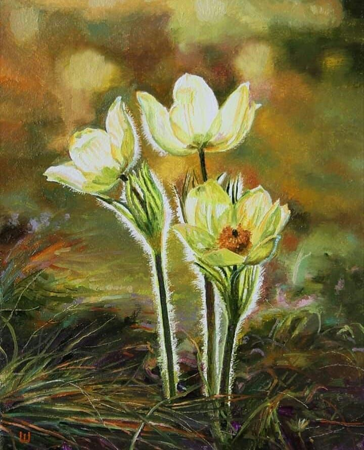 Художник Наталья Шибалова " Подснежник".  Иллюстрация из Яндекса.