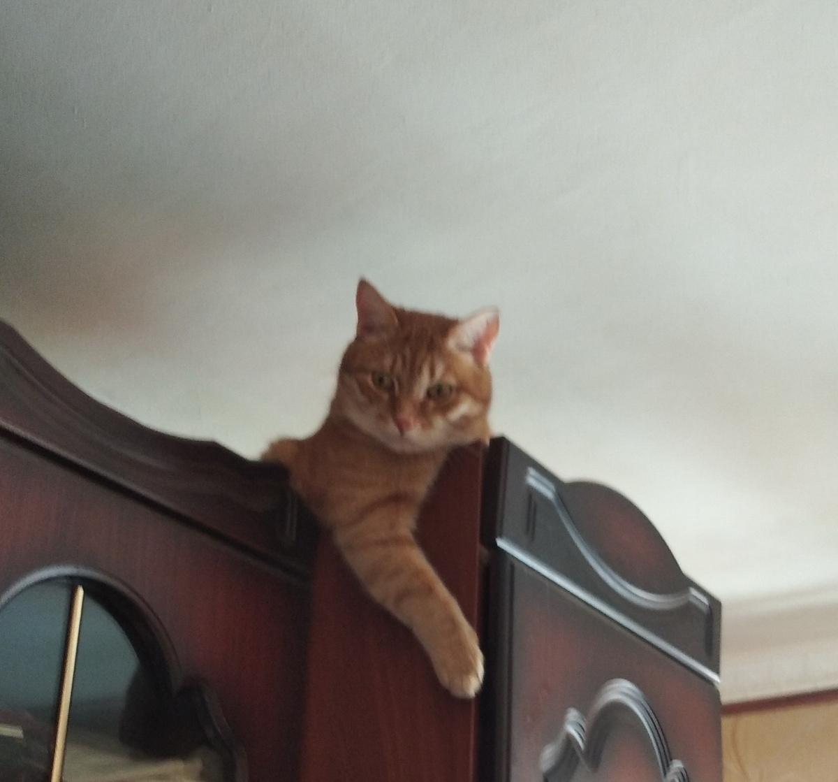 личное фото