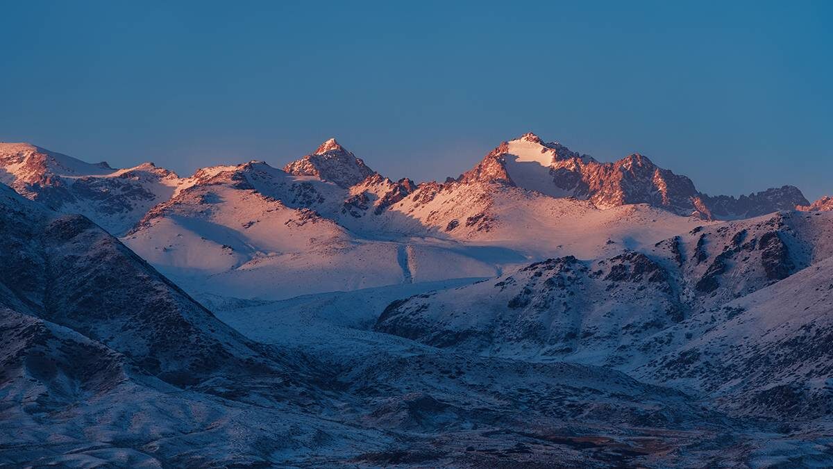    Фото: Shutterstock