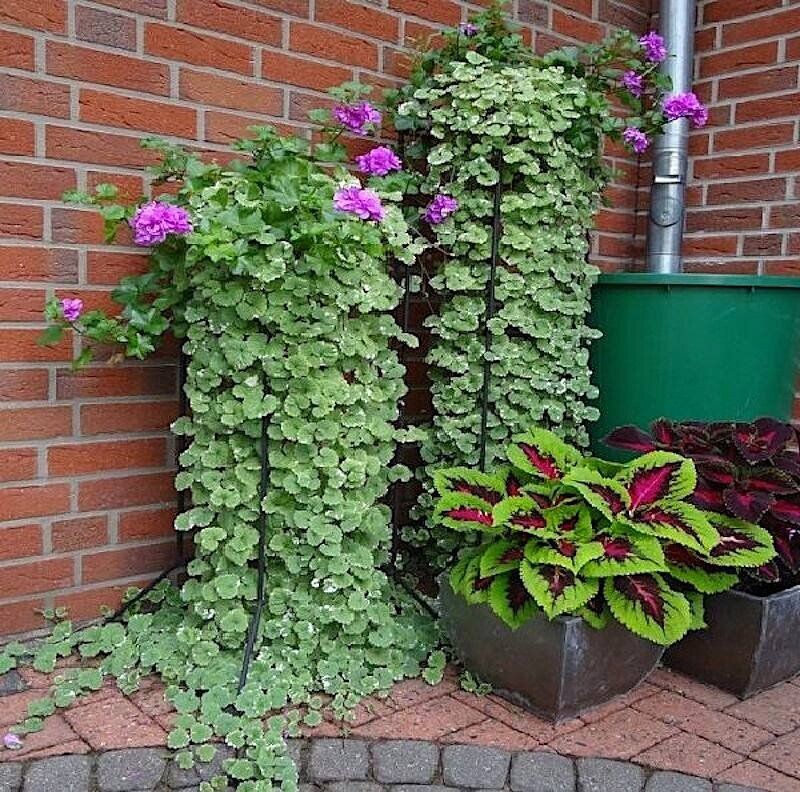 Фотография из интернета