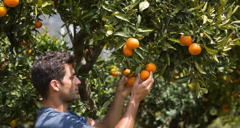    Сделано в нейросети