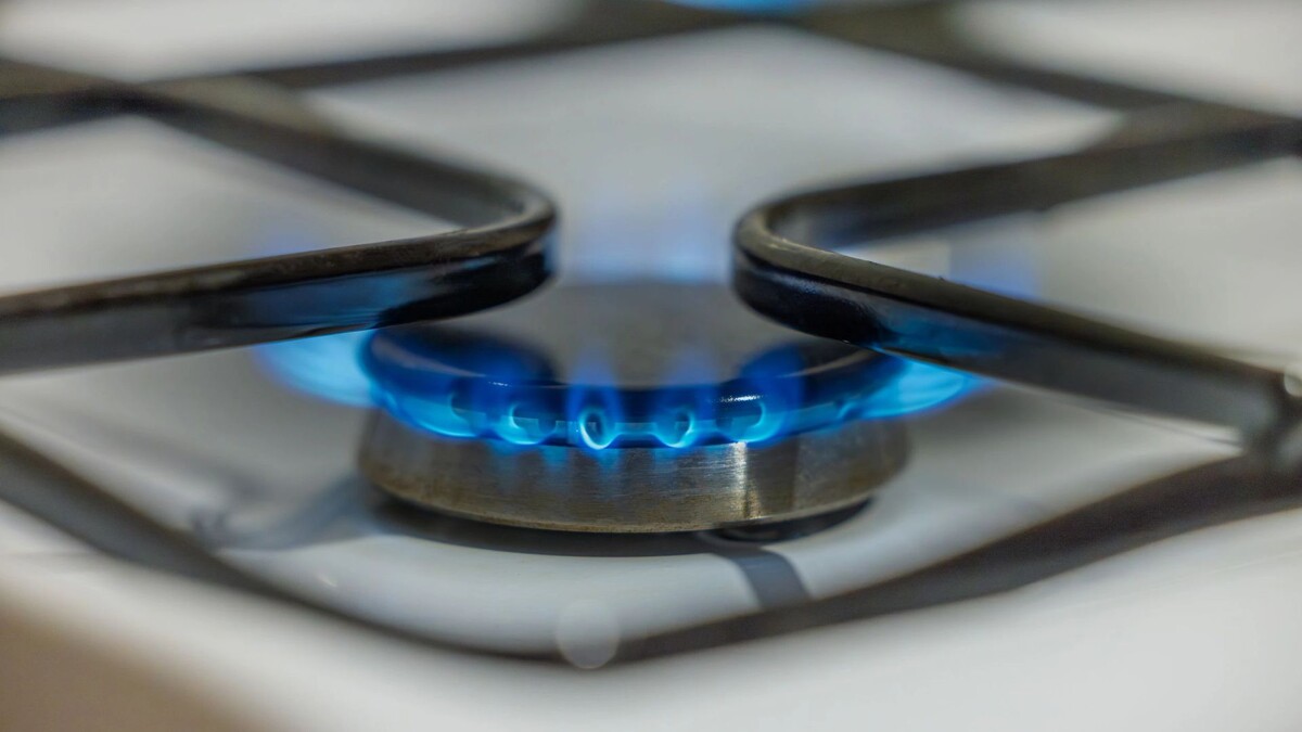    Фото: Федор Воронов / «Ямал-Медиа»