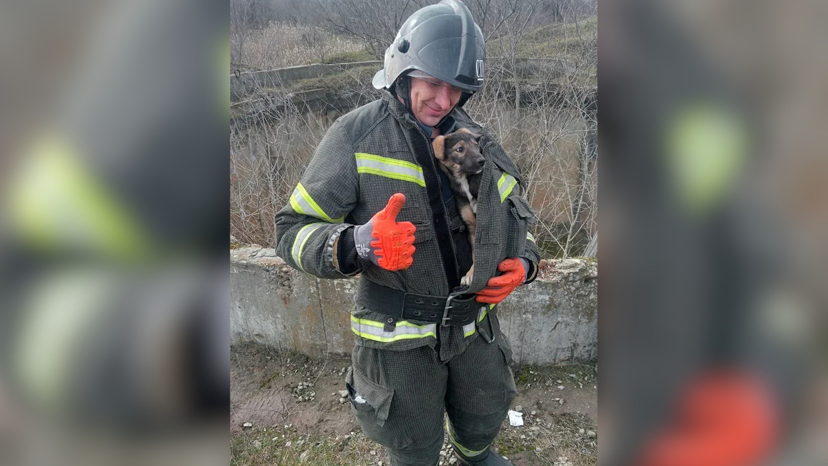    Первый канал