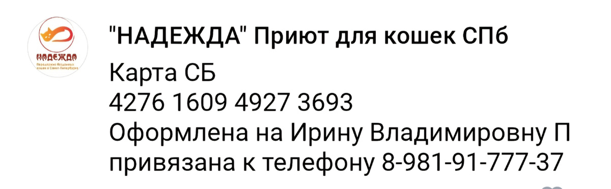 Реквизиты приюта