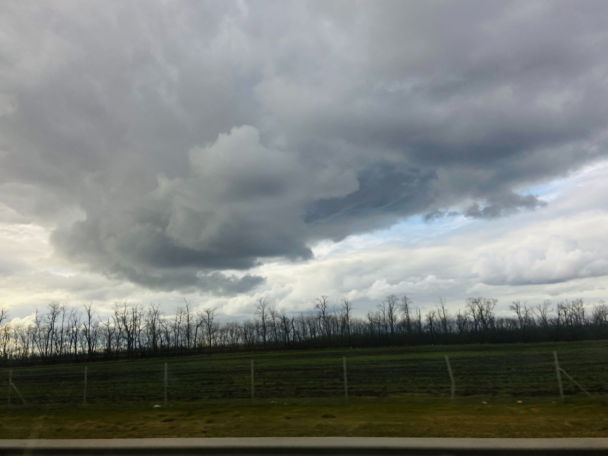 Фото по дороге.