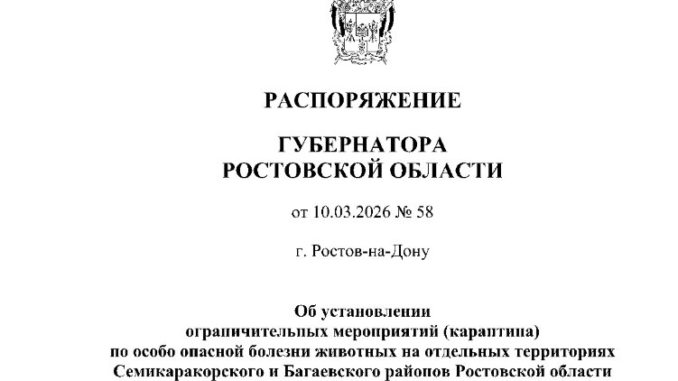    Фото: Официальный портал правовой информации РО