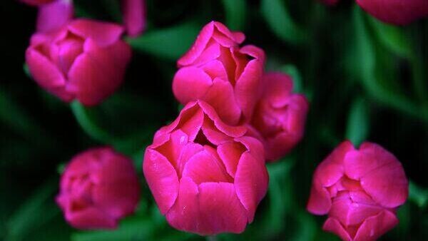    © РИА Новости Крым