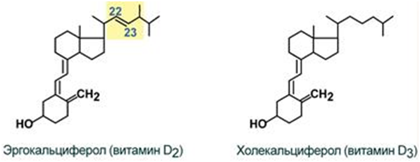 Химическое строение неактивных форм витамина D