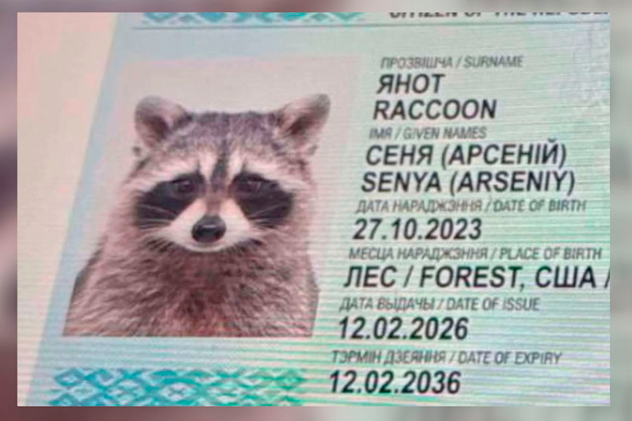    Скриншот: ctv.by