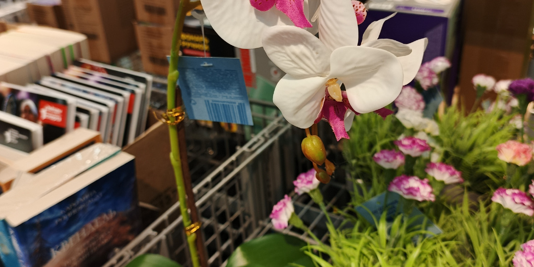 Во время покупок в «Чижике» я также обратила внимание на другие товары.