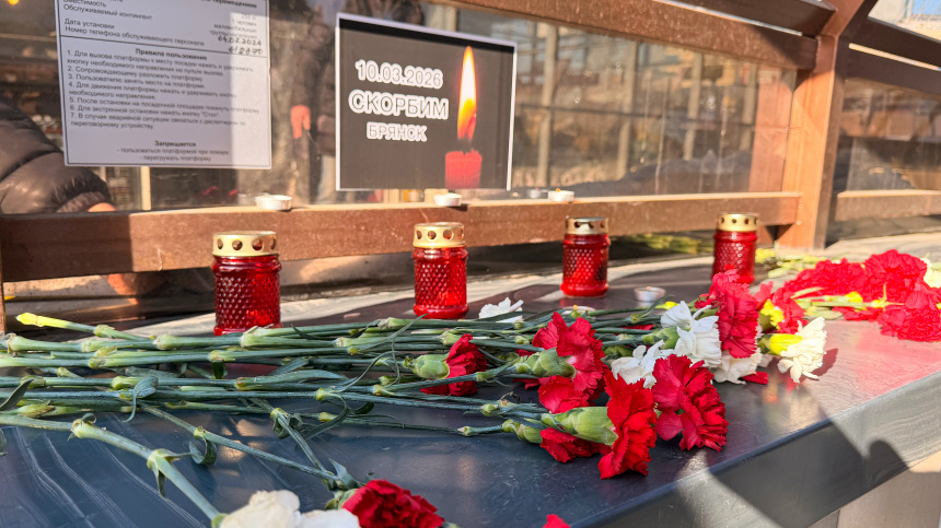    Фото: ИЗВЕСТИЯ/Денис Кулага