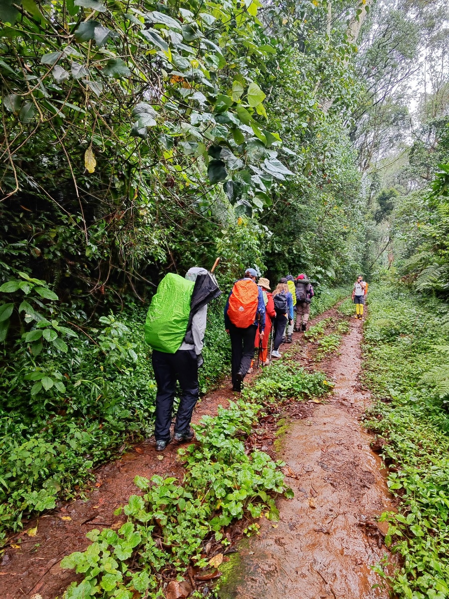    Создатель кондопожской мастерской для людей с инвалидностью поднялся на гору Килиманджаро© Роман Унукайнен / VK