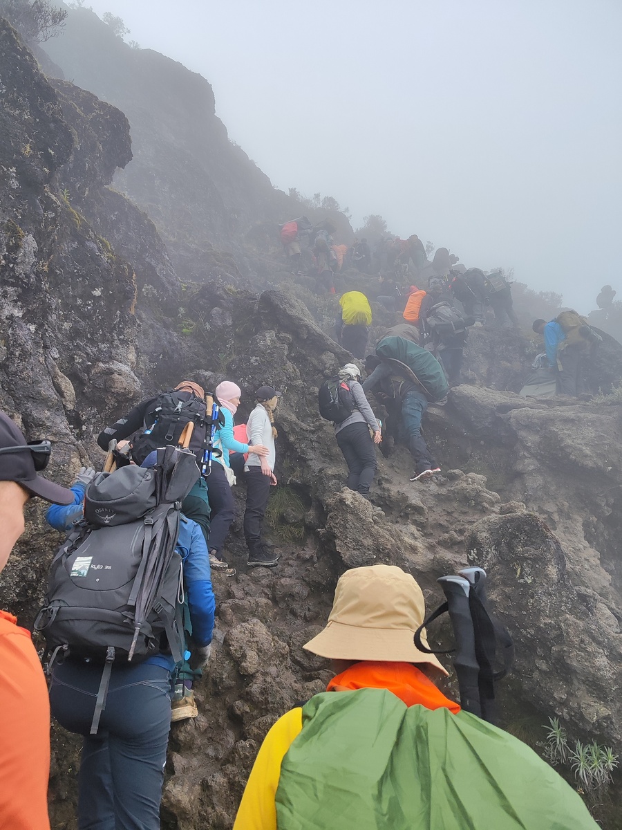    Создатель кондопожской мастерской для людей с инвалидностью поднялся на гору Килиманджаро© Роман Унукайнен / VK