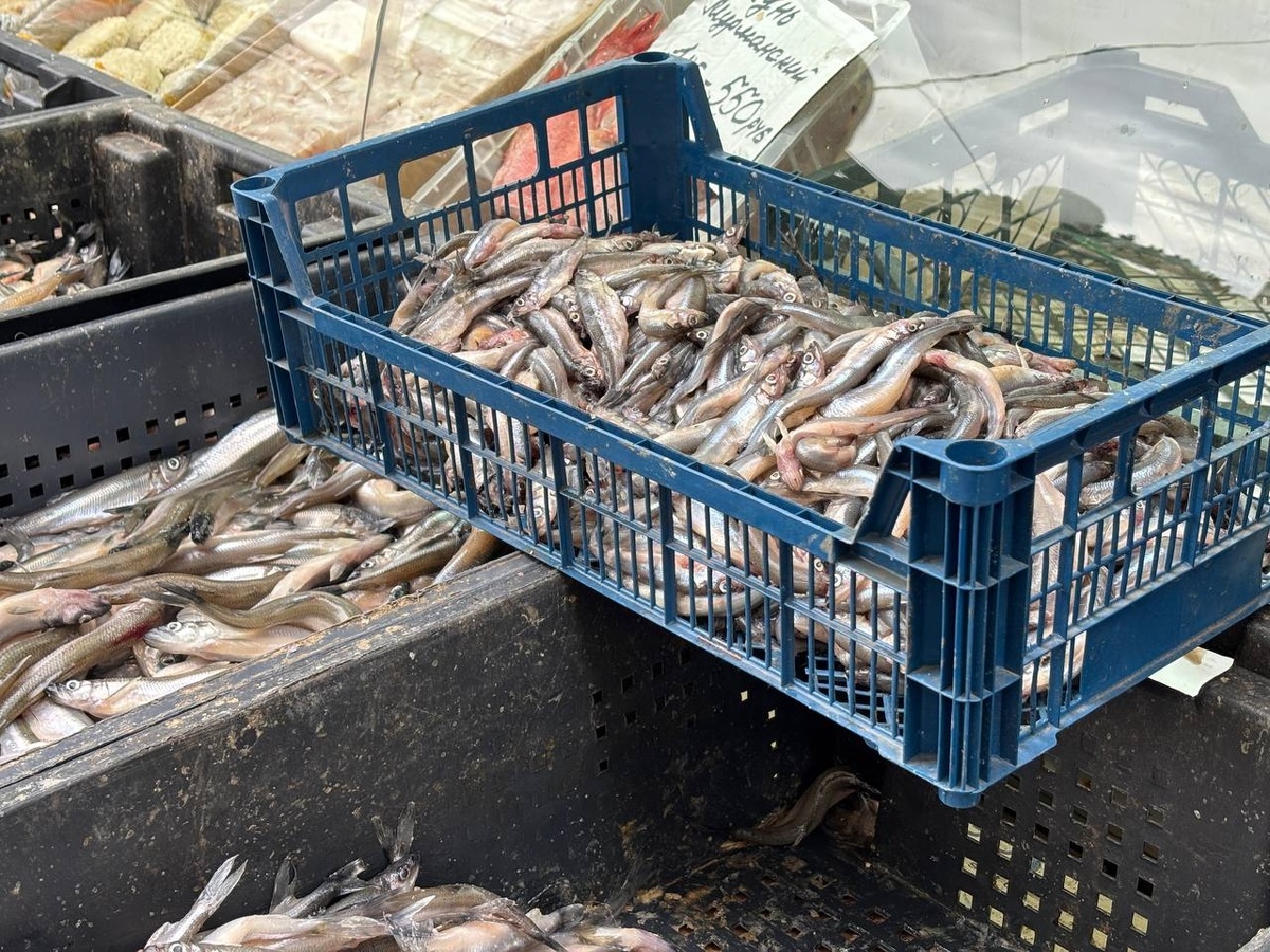 Фото: Neva.Today