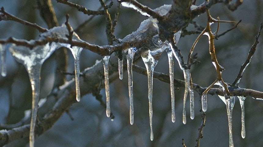 Фото: Globallookpress.com / Sergey Kovalev