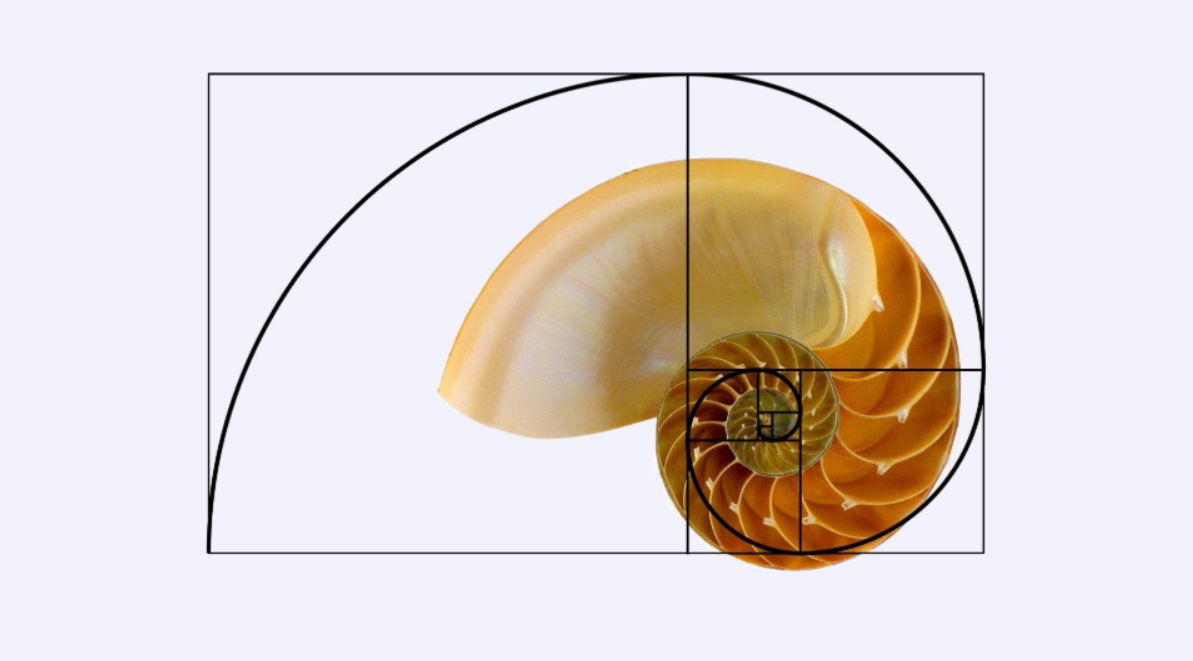Золотое сечение есть везде