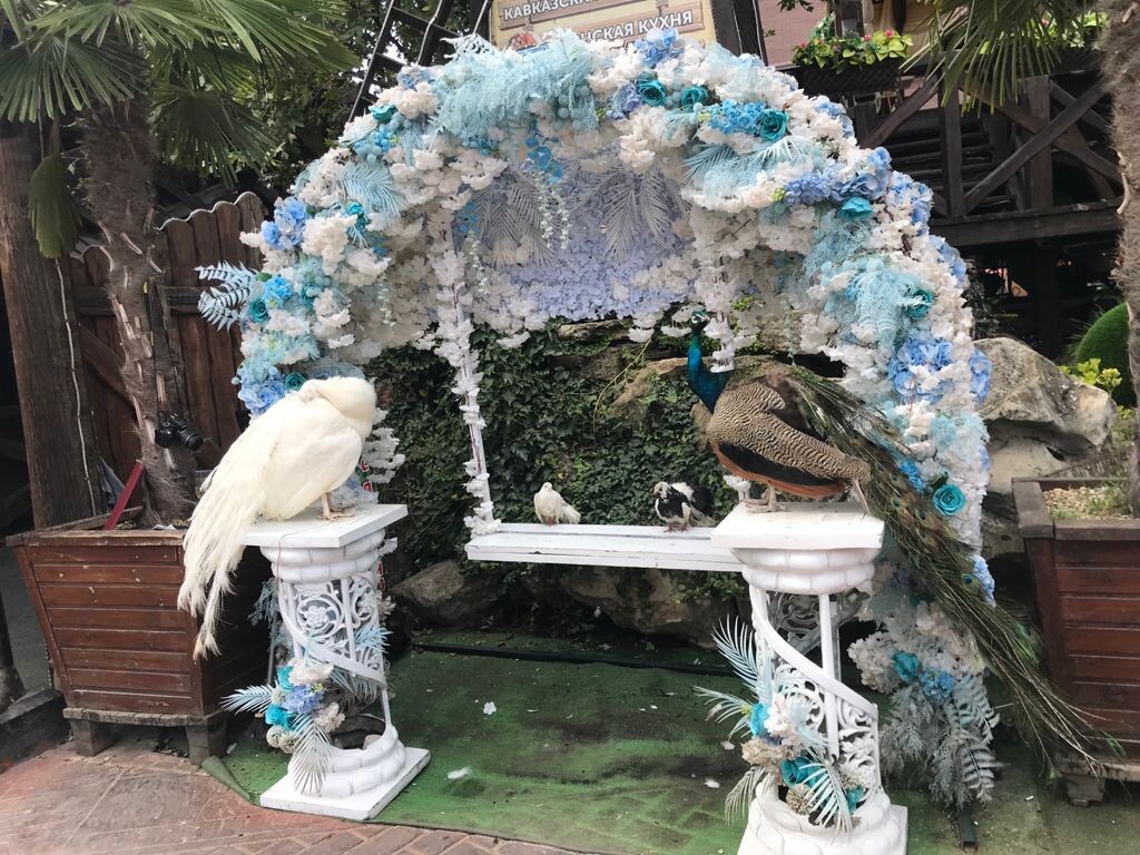 Фото автора