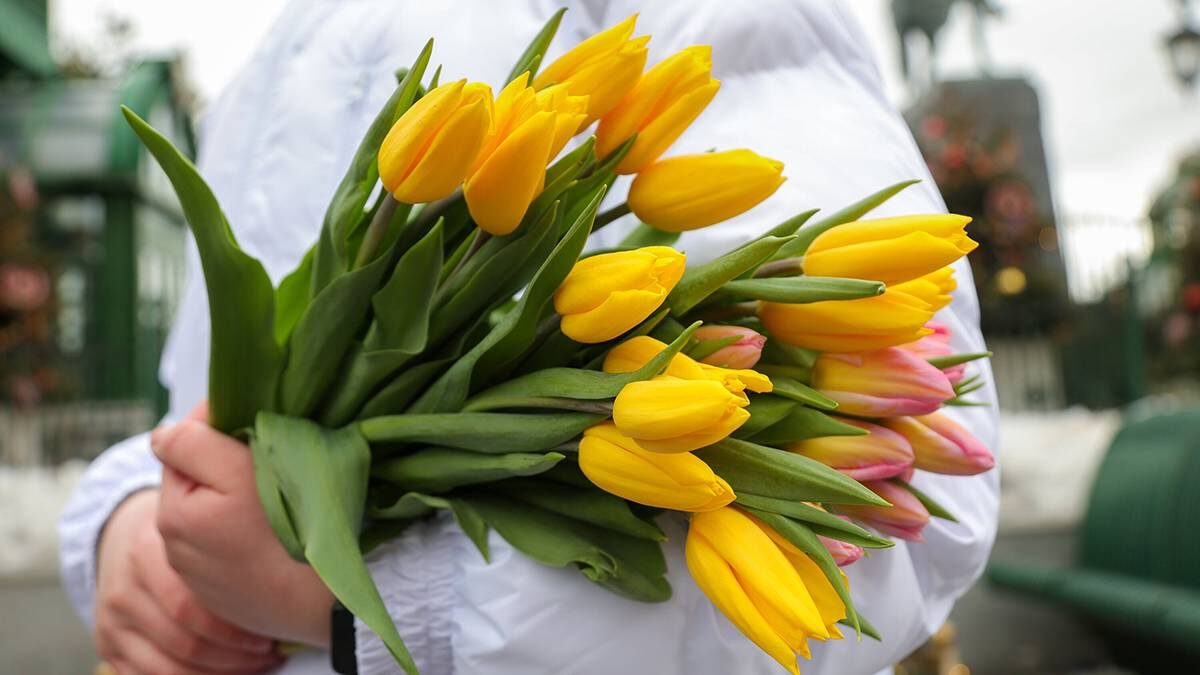    Фото: Дмитрий Белицкий / АГН Москва