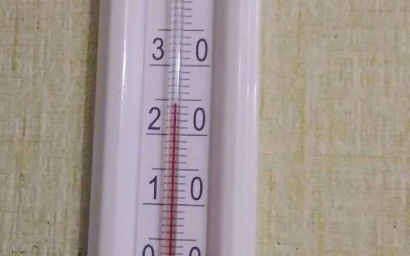    Елена Степанова / страница VK Рашида Бескембирова