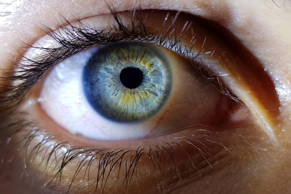  © wirestock, Freepik.com