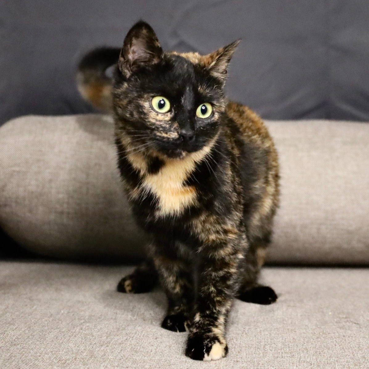 Я идеальна! Чем не угодила?!