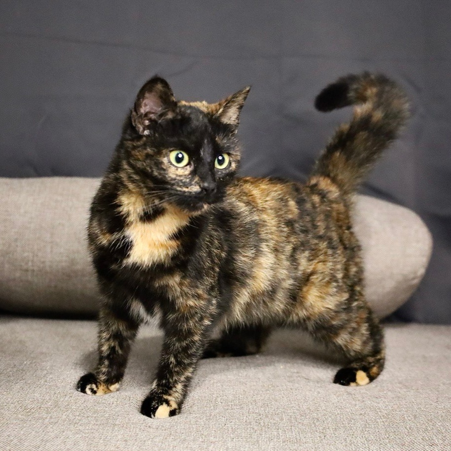 Как нервная система моей приемной мамы выдерживает нас всех? Наверное она просто умеет любить!