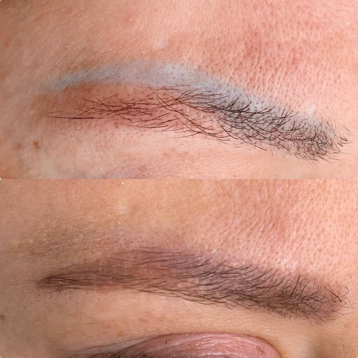 Здесь неДальше — отращиваем свои. Да, мы просто дали природе шансльзя было просто «перекрыть». Тут нужна была стратегия.