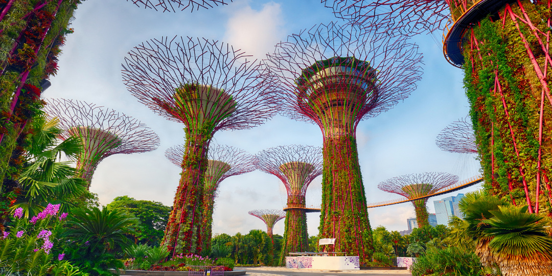 Какое направление оказалось первым в культурном рейтинге известной платформы