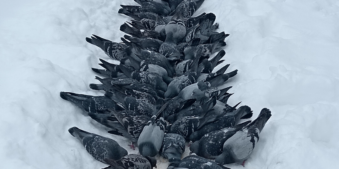 11 марта 2026 года. Среда. День полный дел, или Успела почти всё