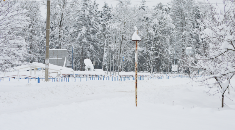 Фото автора. Январь 2026. Станица.
