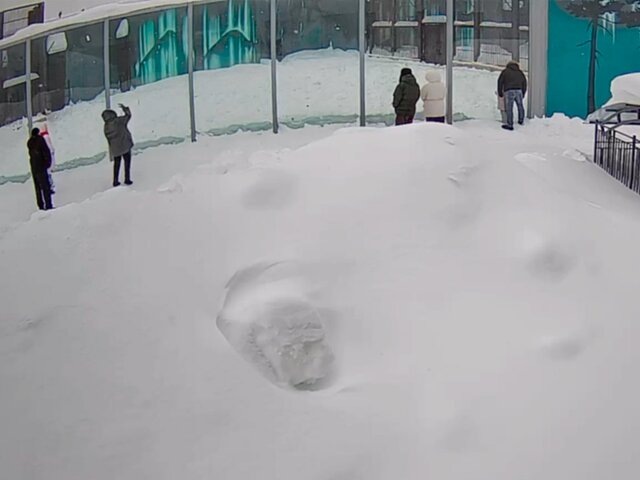    Фото: телеграм-канал "ПЕРМСКИЙ ЗООПАРК (ГКАУК "Пермский зоопарк")"