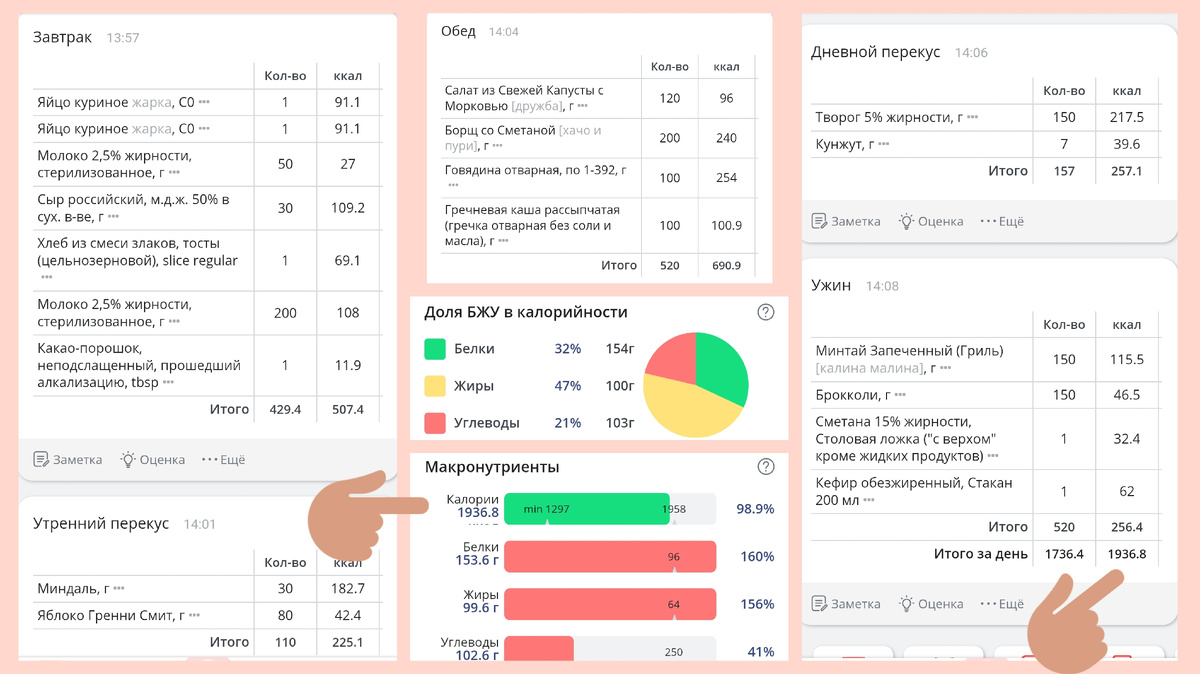 Тот же рацион, просчитанный в стороннем специализированном приложении