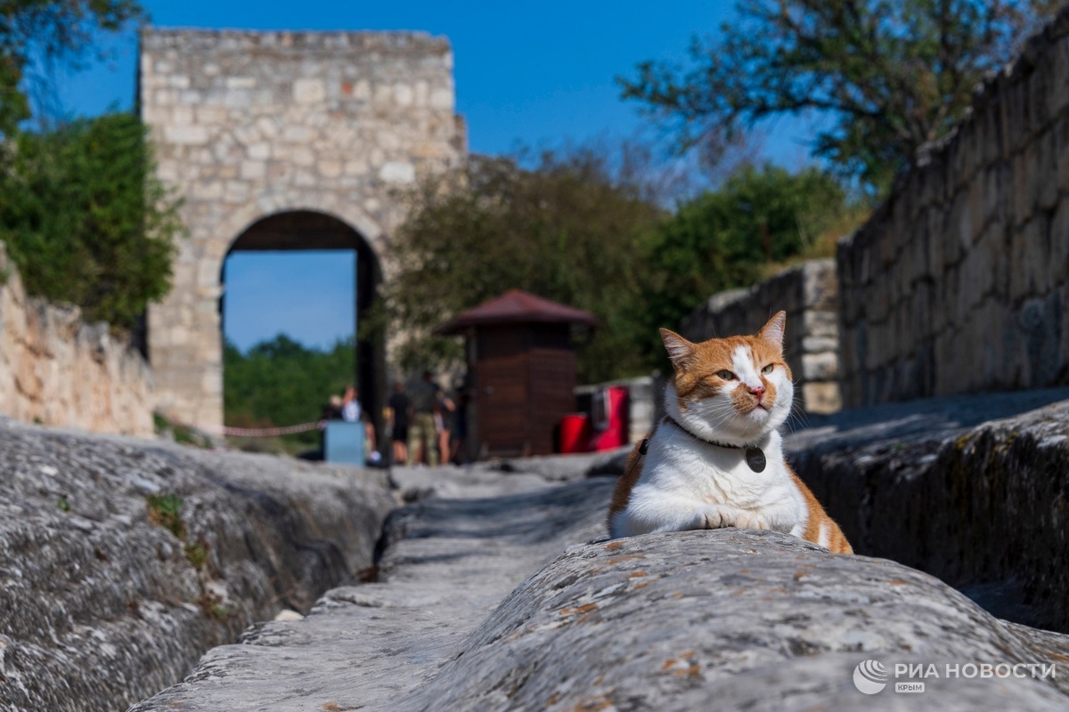 Это я подрабатываю главным этой весной 