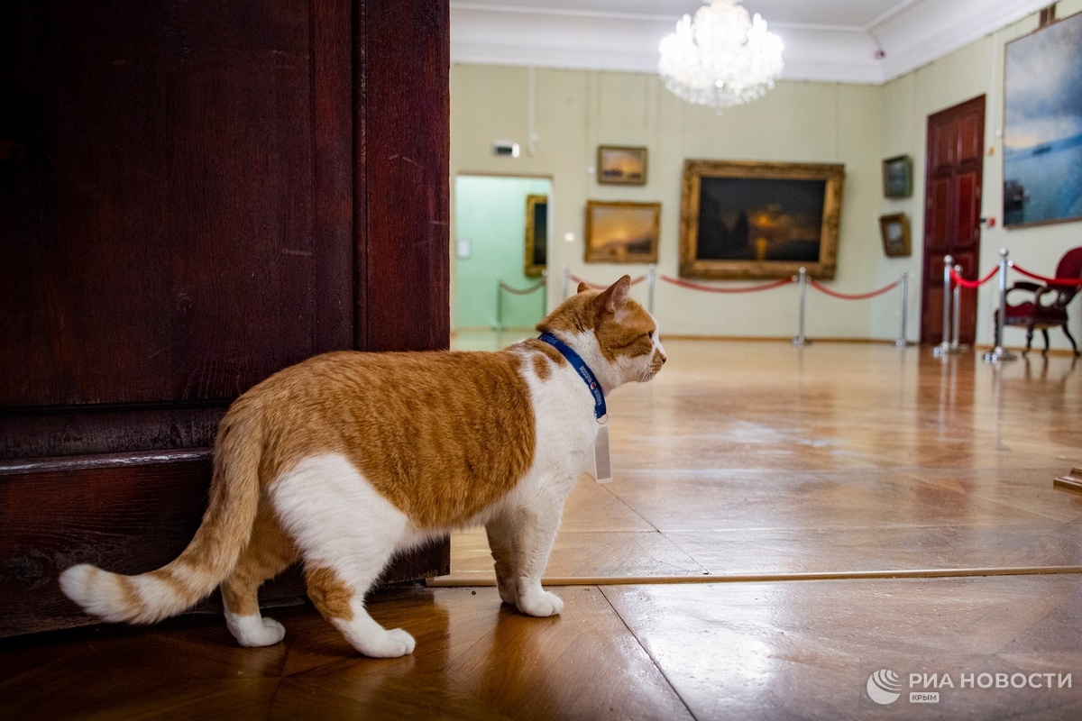 Куда не глянь - сплошное море. А море это что? Правильно, рыба!