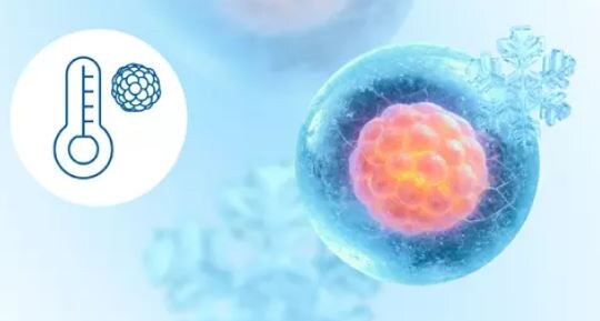 Витрификация эмбрионов